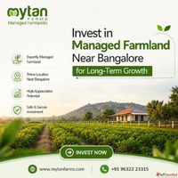 Top Managed Farmland Near Bangalore for Long-Term Growth