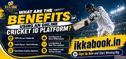 What Are the Benefits of Using an Online Cricket ID Platform