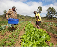 Reliable Gardening Maintenance Services in Mumbai by CISB