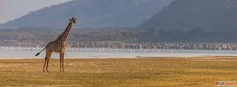 Best Safari Trips from Zanzibar - Wildlife Beach Escape