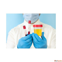 Best Doctor for Urine Infection in Delhi Dr. Kundu