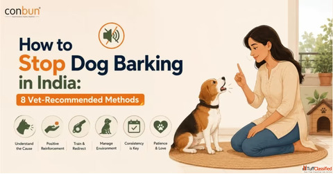 How to Stop Dog Barking in India 8 Vet-Recommended Methods