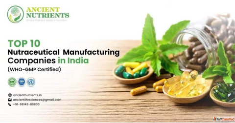 Nutraceutical manufacturing in India