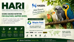 HARI Bird Food India - Premium Bird Nutrition Solutions