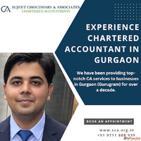 Expert CA Taxation Services in Gurgaon for Startups and Busi...