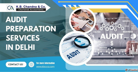 Professional Audit Preparation Services in Delhi for Businesses