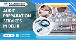 Professional Audit Preparation Services in Delhi for Busines...