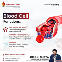 Red Blood Cells - Importance Function and Disorders by Dr. S...