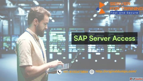 Affordable SAP Server Access with 24X7 Live Support
