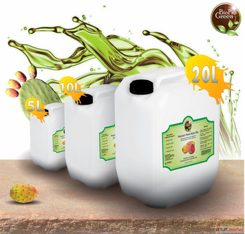 The Marvel of Moroccan Prickly Pear Seed Oil