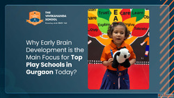 Why Early Brain Development is the Main Focus for Top Play S...