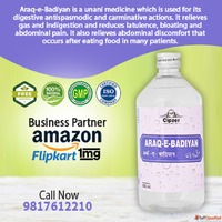 Cipzer Care Arq Badiyan 500 ML for Digestion Body Cooling