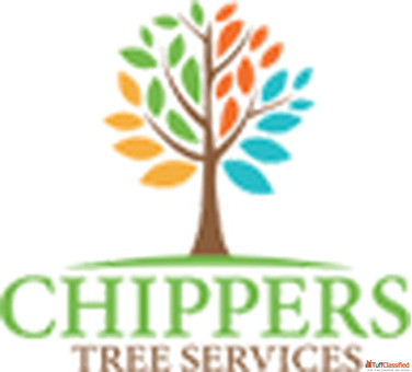 Tree Removal Cost