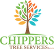 Tree Removal Cost