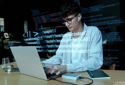 Web Development Services