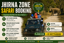 How to Experience a Real Jungle Adventure with Jhirna Zone S...