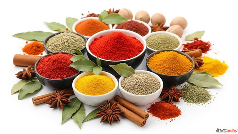 Trusted Spices Manufacturers in Gujarat for Premium Quality Indian Spices