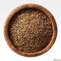 Cumin Seeds Benefits for Digestion Immunity and Daily Wellne...