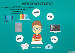 Popular Website development course in Hisar Haryana