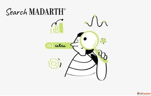 Entity-Based SEO in Chennai - SearchMadarth