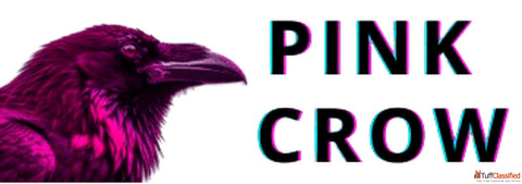 PinkCrow Dev