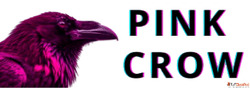 PinkCrow Dev