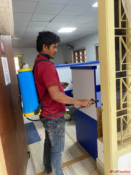Affordable Termite Treatment in Bhubaneswar Khusi Pest Control