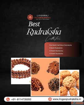 Rudraksha Shop in Cuttack