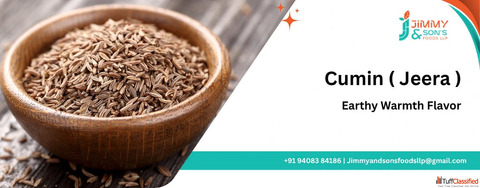 IPM Organic Cumin Seeds Suppliers Exporters Unjha India