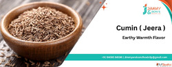 IPM Organic Cumin Seeds Suppliers Exporters Unjha India