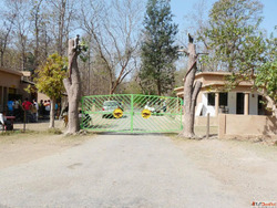 Inside the Wild Rhythm of Bijrani Zone in Jim Corbett Nation...