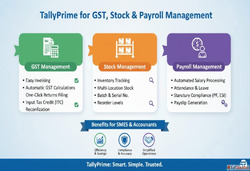 Why TallyPrime is the Best Choice for GST Stock Payroll Mana...