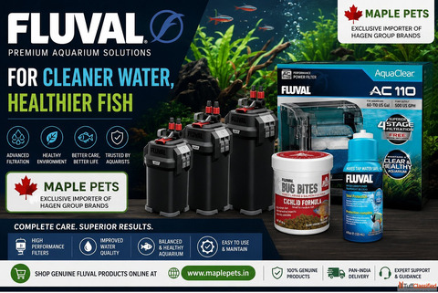 Buy Premium Fluval Aquarium Products Online in India