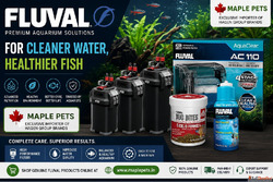 Buy Premium Fluval Aquarium Products Online in India