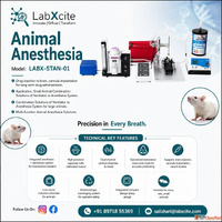 Animal Anesthesia