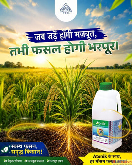Plant Growth Regulators for Enhanced Crop Performance Atonik