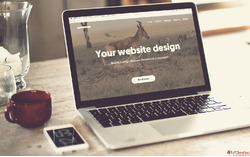 Best Website Design Company in India for Brands