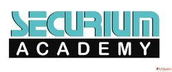 Practical Summer Training in Cyber Security with Labs