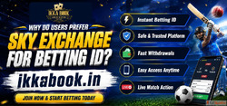 Why Do Users Prefer Sky Exchange for Betting ID