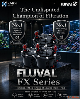 Best Fluval FX Canister Filters for Large Fish Tanks