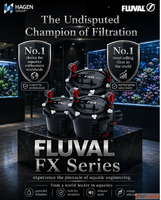 Best Fluval FX Canister Filters for Large Fish Tanks