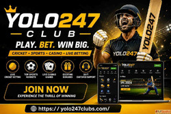 Yolo247 Club - Complete Betting Guide for Beginners and Pro ...