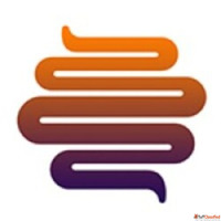 Modern Digestive Disorders Hospital with Advanced Medical So...
