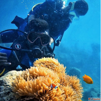 Fun diving in the Andamans Best Diving in Havelock