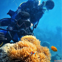 Fun diving in the Andamans Best Diving in Havelock
