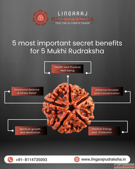 Authentic Rudraksha Shop in Kolkata