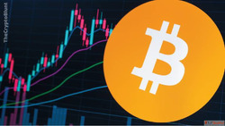 Crypto News