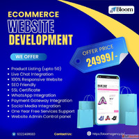 Best web design company in mumbai Bloom Agency
