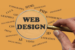 Professional Web Design Services for Business Growth