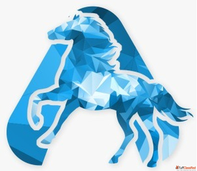Best SEO Company in Mohali